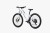 move26_bialy6.jpg