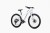 move26_bialy2.jpg