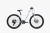 move26_bialy1.jpg