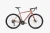 tier_brandy1-scaled.webp