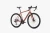tier_brandy2-scaled.webp
