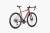 tier_brandy8-scaled.webp